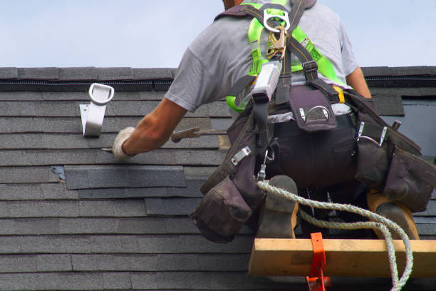 Roof Gutter Cleaning in Leander, TX